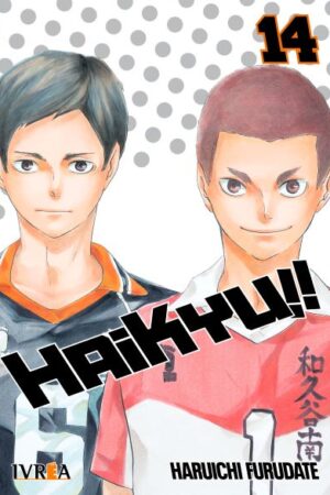 Haikyu!! 14 (ARG)