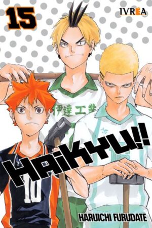 Haikyu!! 15 (ARG)