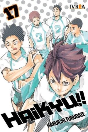 Haikyu!! 17 (ARG)