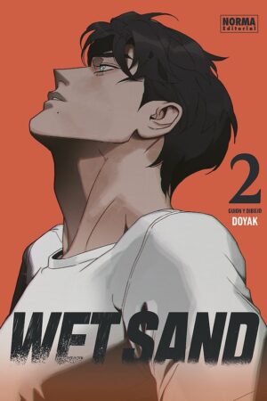 Wet Sand 02