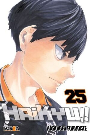 Haikyu!! 25 (ARG)