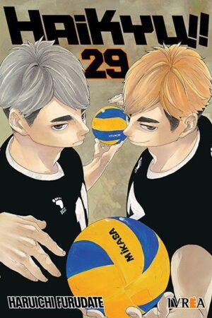 Haikyu!! 29 (ARG)