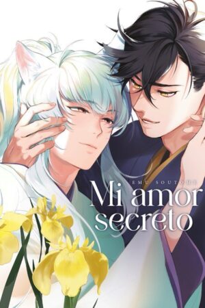 Mi amor secreto