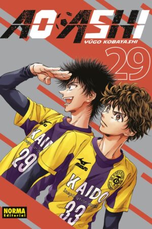 Ao Ashi 29