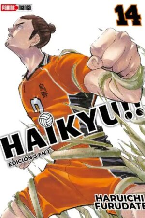 Haikyu!! 14.3en1 (MEX)