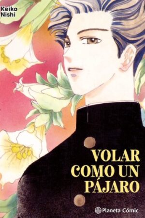 Volar como un pájaro