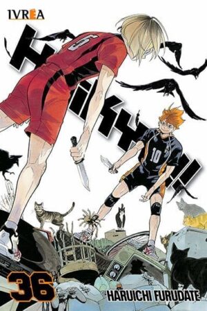 Haikyu!! 36 (ARG)