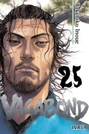 Vagabond 25