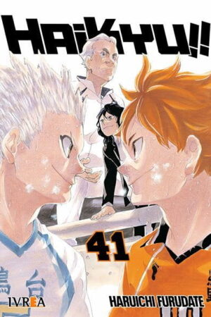 Haikyu!! 41 (ARG)