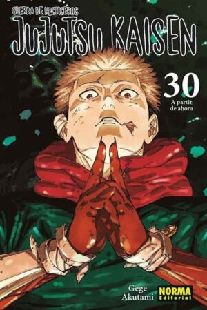 Jujutsu Kaisen 30 (ESP)