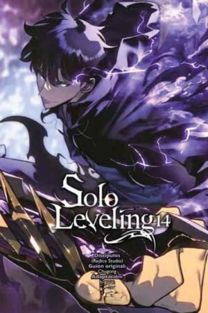 PV-Solo Leveling 14