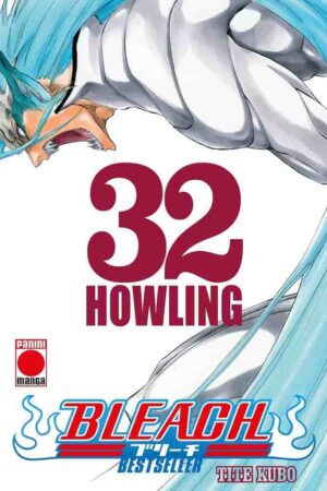 PV-Bleach (Bestseller) 32