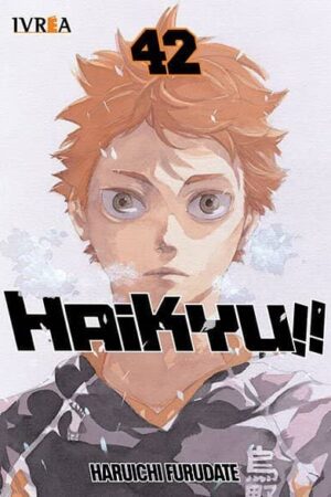 Haikyu!! 42 (ARG)