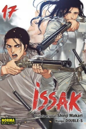 PV-Issak 17