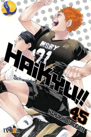 Haikyu!! 45 (ARG)